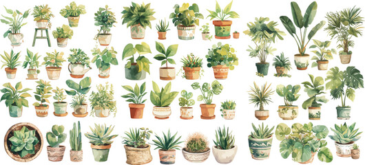 potted plant watercolor clipart
