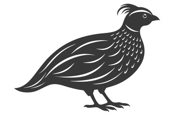 Obraz premium vector illustration of a rooster