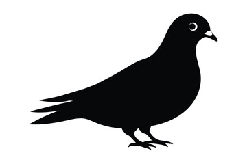 Fototapeta premium -racing-pigeon--black-illustration-silhouette-vector 