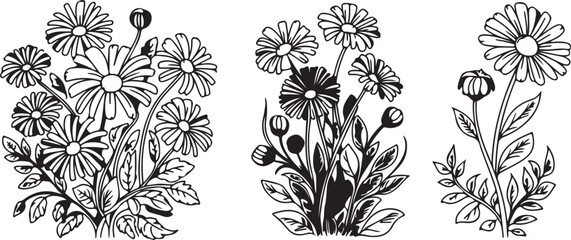 Fototapeta premium Hand-drawn Daisy Flower Bouquets