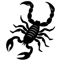Scorpion Illustration in Black Silhouette Style silhouette