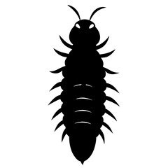 Detailed Centipede Black Silhouette on White Background
