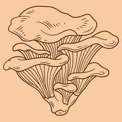 Chanterelles mushrooms fungi icons set vector on beige background. Nature fresh, plant autumn, organic vegetable mushroom food fungi brown contour illustrations