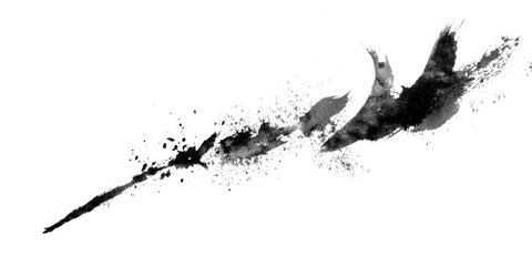 Ink splash bird in flight isolated on transparent background