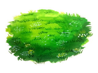 green grass background