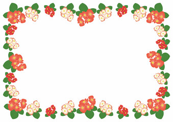 ベゴニアオレンジフレーム