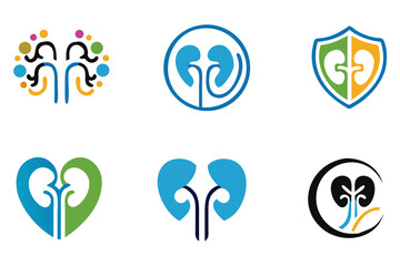 kidneys logo design template, urology logo, vector icon