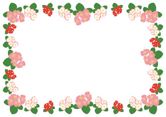 ベゴニアピンクフレーム