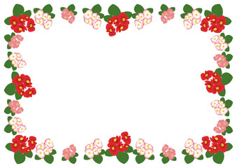 ベゴニア赤フレーム