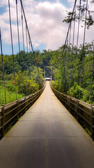Obraz premium A long suspension bridge stretches into lush green forest under a partly cloudy sky, creating a scenic and peaceful pathway through nature.