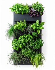 Naklejka premium A vertical garden featuring a variety of fresh herbs and plants, ideal for home cooking and indoor decor.