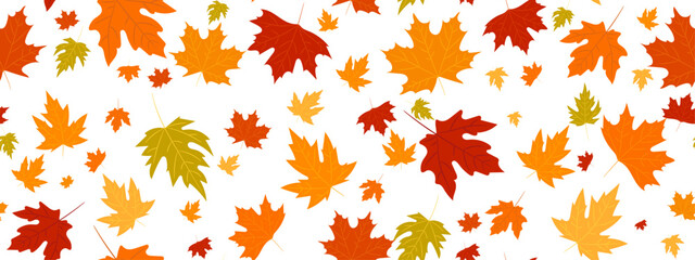seamless pattern of red, yellow maple leaves on a green background.Close-up, long transparent