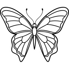 Elegant Butterfly Line Art Illustration