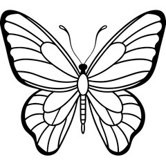 Elegant Butterfly Line Art Illustration