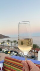 UNA COPA DE CAVA CON UNA VISTA AL MAR DE MEDITERRANEO , LAS PALMERAS Y MONTAÑAS , LAPUESTA DEL SOL DE ESPAÑA 