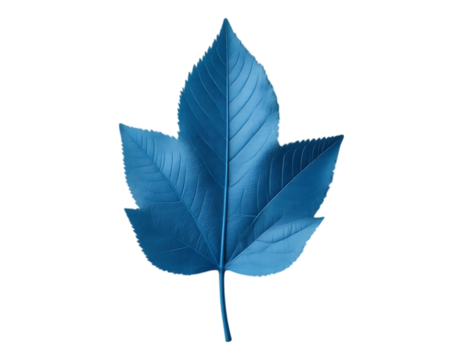 Blue leaf on transparent background - Powered by Adobe