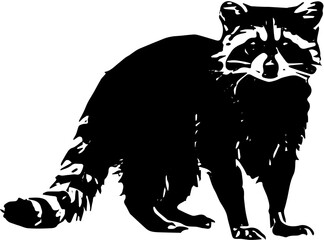 vector illustration of a raccoon black and write 