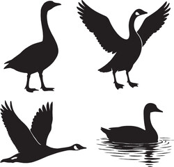 Goose Silhouette EPS – Flying, Standing, and Walking Bird Vector Isolated on White Background, DUCK SILHOUETTE BLACK AND WHITE 