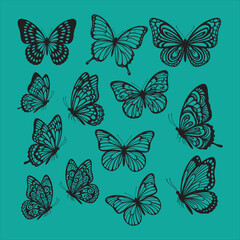 Black silhouette butterflies and moths set on white background vector.

