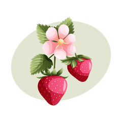 strawberry vector illustration on white background