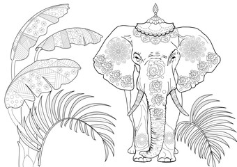 Coloring for art therapy. Animals and flowers of Asia. A calming and educational journey around the world with a collection of coloring pages.