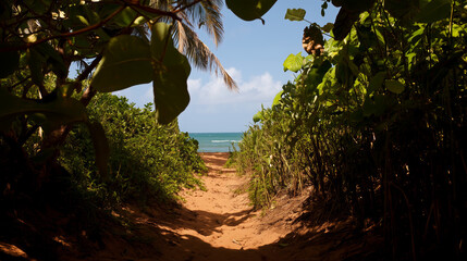 A sandy path leads through dark, lush tropical foliage to a bright, sunny beach with a clear blue sky and ocean. A hidden entryway to a secret paradise.
