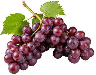 Fototapeta premium Ripe Red Grapes With Green Leaves On A Branch Against A Transparent Background