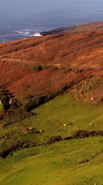 Scenic landscape of dingle peninsula with coastal views, green fields, and an old ruin in county kerry, ireland.