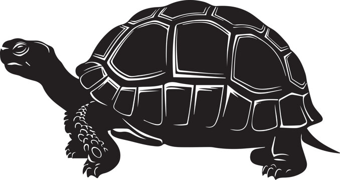 tortoise silhouette vector illustration
