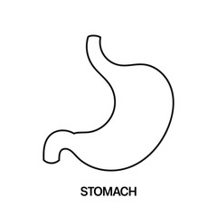 Fototapeta premium Coloring page with Stomach for kids illustration template