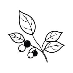 blueberry branch with leaves