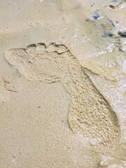 barefoot print on wet sand