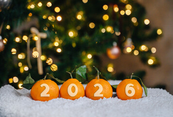 happy new year 2026, tangerines on the background of a Christmas tree and garland lights