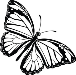 Intricate butterfly line art with decorative black patterns, elegant wings, curved antennae, and stylized tail feathers, no background.