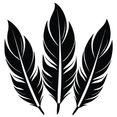 Obraz premium Set of Isolated Bird Feathers in Silhouette Form with Intricate Details