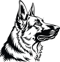 Doag art line picture