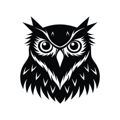 Obraz premium owl on a white background