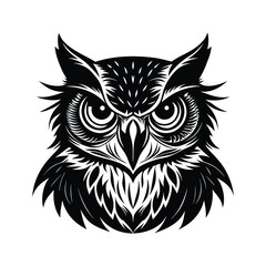 Fototapeta premium owl on white background