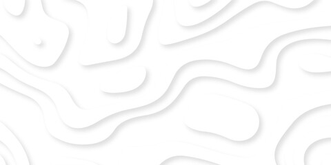 The patter discovery vector white papercut creative discovery White wave grid stripe light decoration luxury banner web design.	