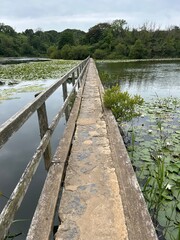 Obraz premium Bosherston Lily Ponds Trail