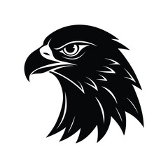 Fototapeta premium eagle vector illustration