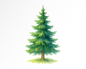 Watercolor illustration of a lush evergreen pine tree with layered green conifer branches, natural forest element, isolated on white. Vector illustration.
