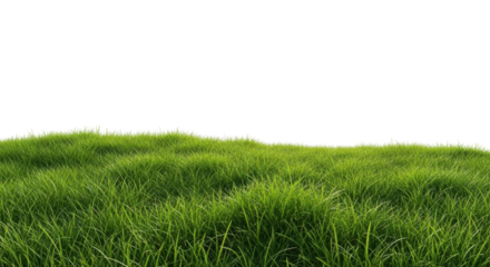 Lush green grass hill for spring or summer isolated PNG with Transparent Background