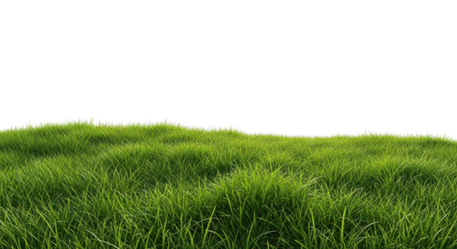 Lush green grass hill for spring or summer isolated PNG with Transparent Background