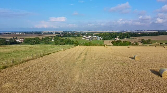 vol de drone au-dessus d'un champ de bl&eacute;