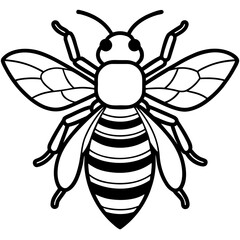 Honey Bee Outline Vector Design