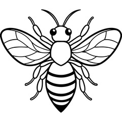 Honey Bee Outline Vector Design