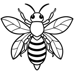 Honey Bee Outline Vector Design