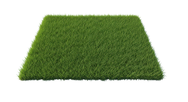 Square of green grass on white background
