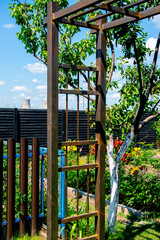 Fototapeta premium Metal frame of a pergola in a private garden - a blank for a green tunnel.